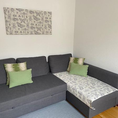 Paseo Del Guena Apartment Cangas de Onis Bagian luar foto